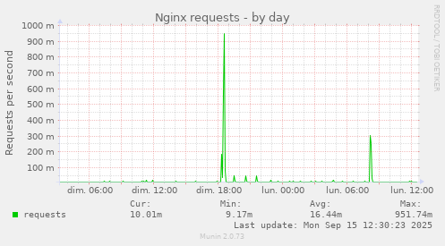 Nginx requests